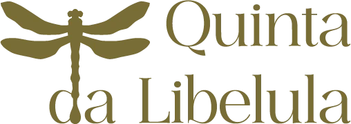 Quinta Da Libelula Retreats