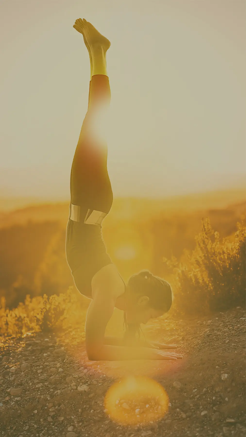 Transformative Landscape Eco Retreat Portugal