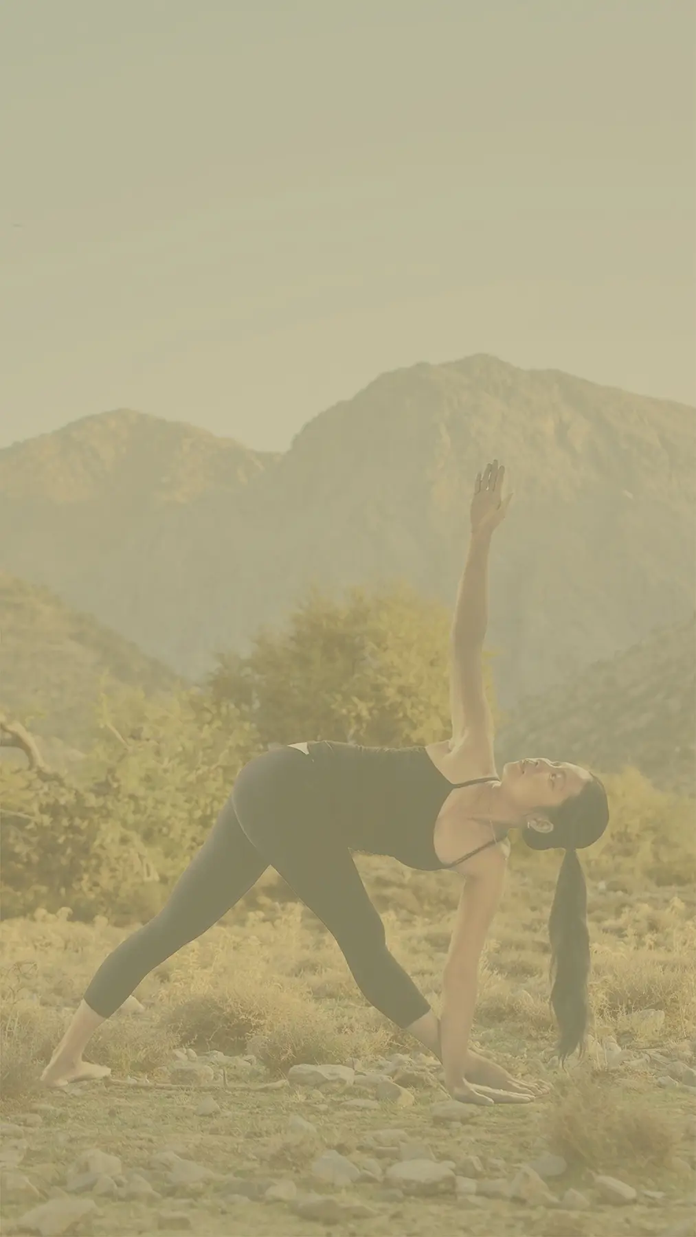 Eco Retreat Portugal Libelula wooden Domes 