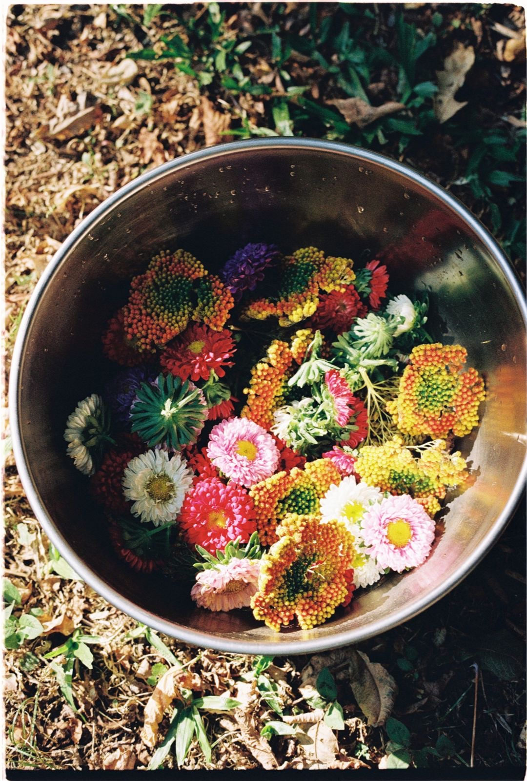 Ceremonies Ancient Retreat Portugal